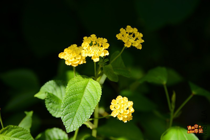 ��Ƭ 038_����.jpg