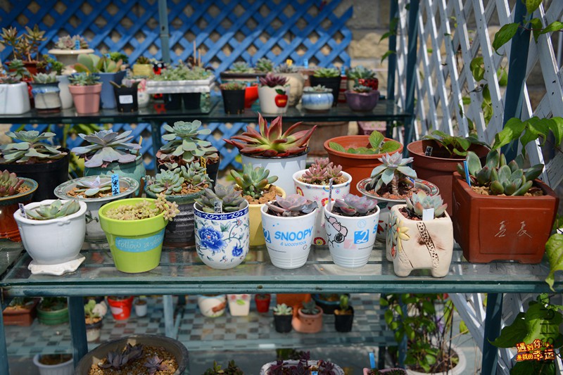 ��Ƭ 062_����.jpg