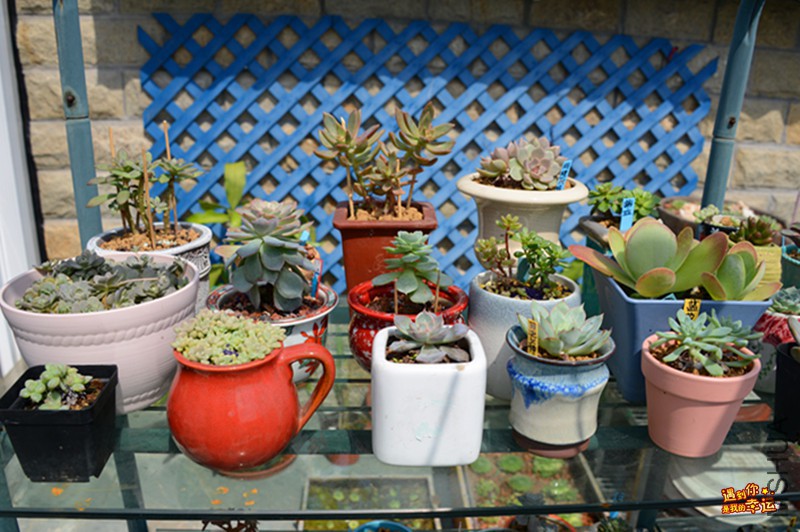 ��Ƭ 064_����.jpg