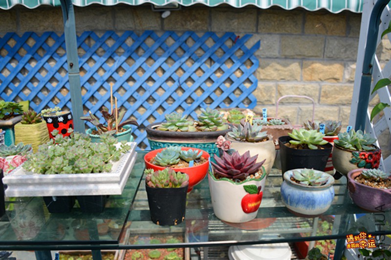 ��Ƭ 066_����.jpg