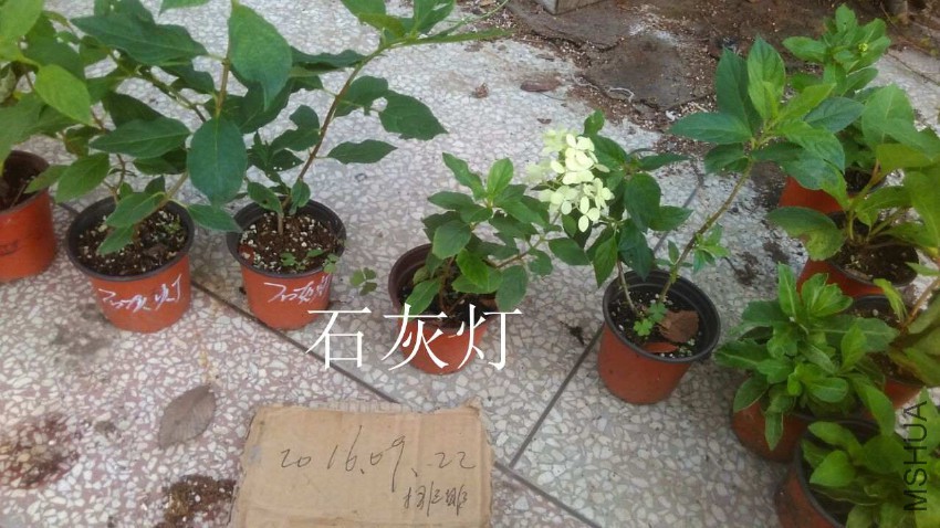 QQͼƬ20160922094948.jpg