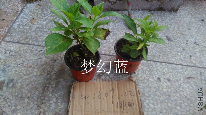 QQͼƬ20160922095011.jpg