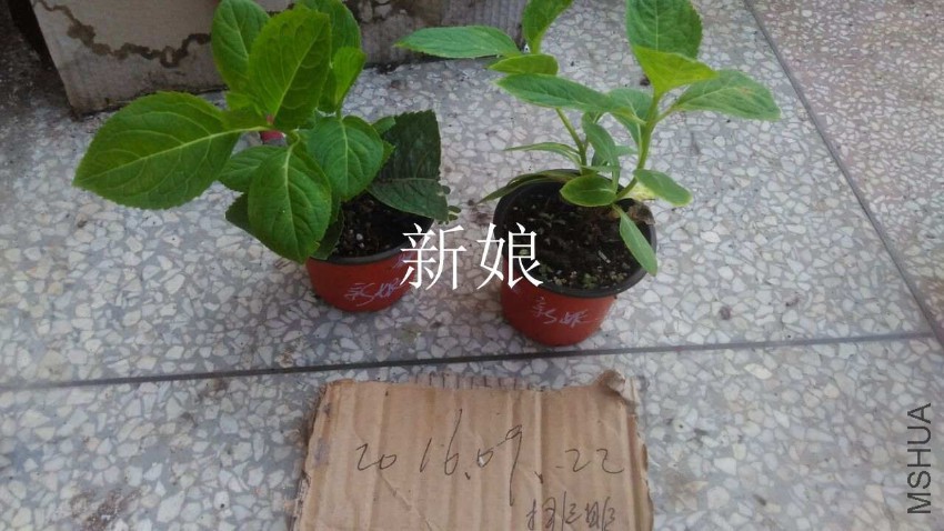 QQͼƬ20160922095002.jpg