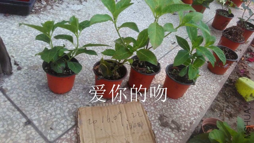 QQͼƬ20160922095004.jpg