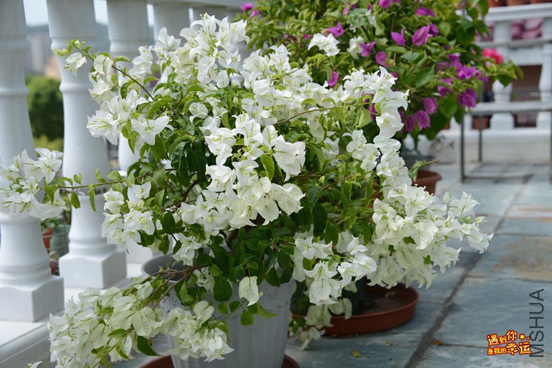 ��Ƭ 079_����.jpg