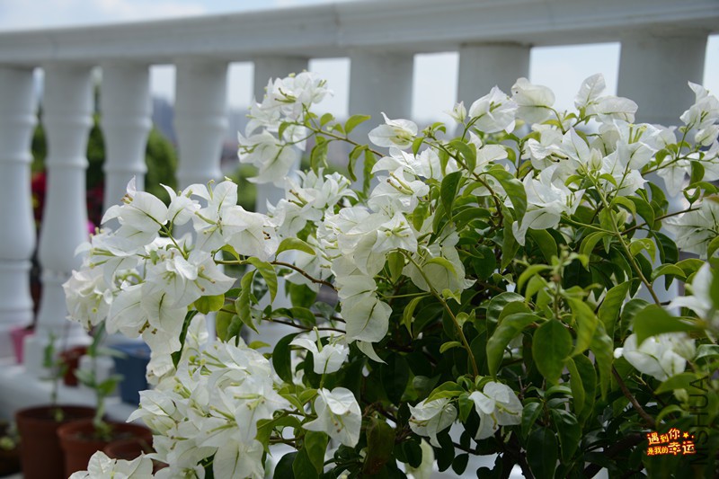 ��Ƭ 082_����.jpg