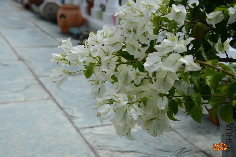 ��Ƭ 084_����.jpg