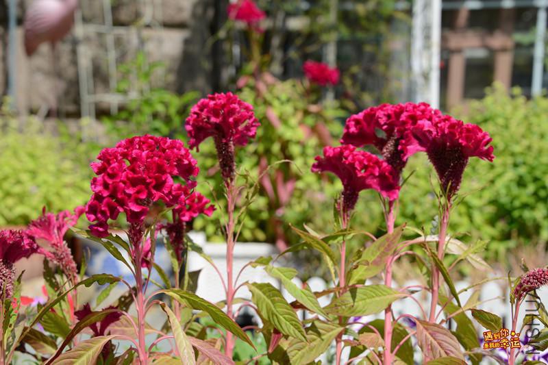 ��Ƭ 034_����.jpg