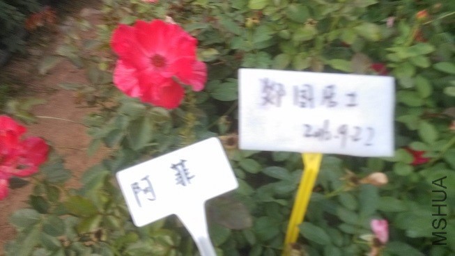 IMG_20160922_170925.jpg