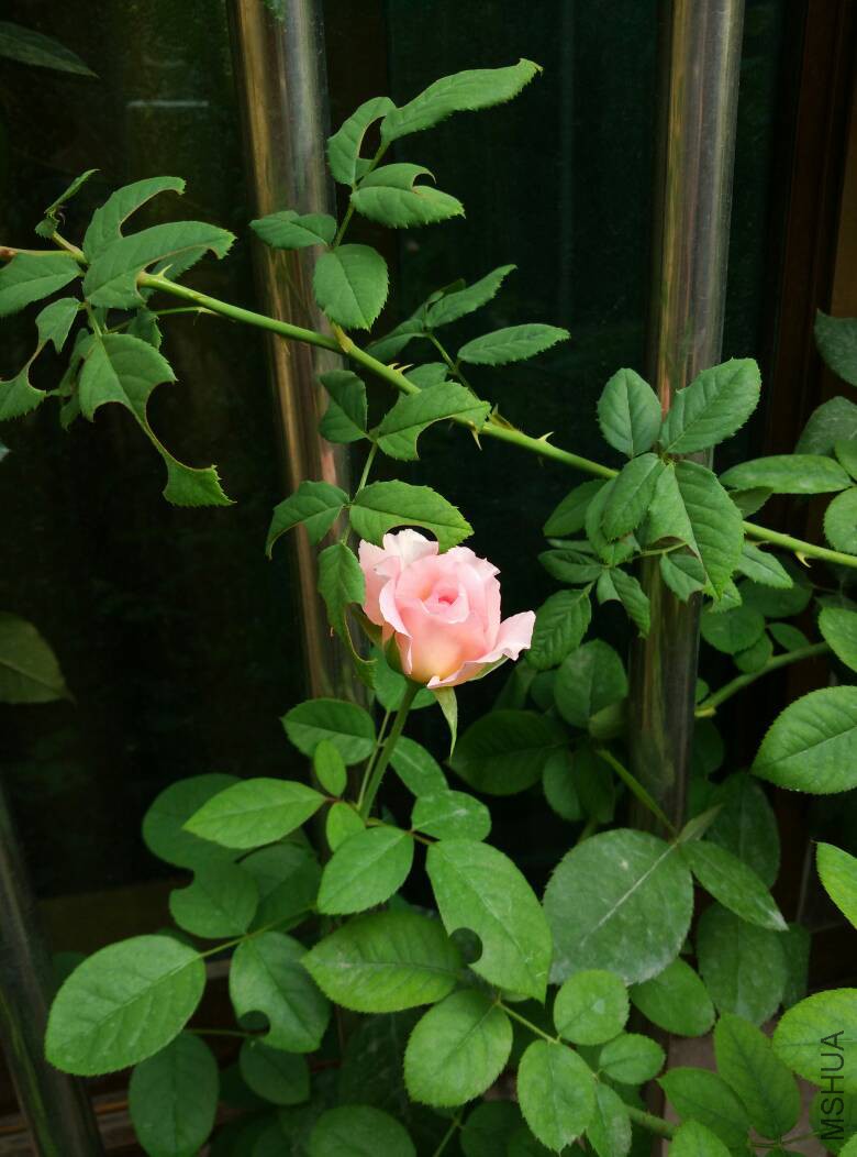 085045j3gq398mqmpazqqq.jpg