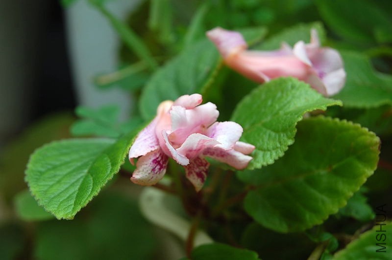 DSC_64740327.JPG