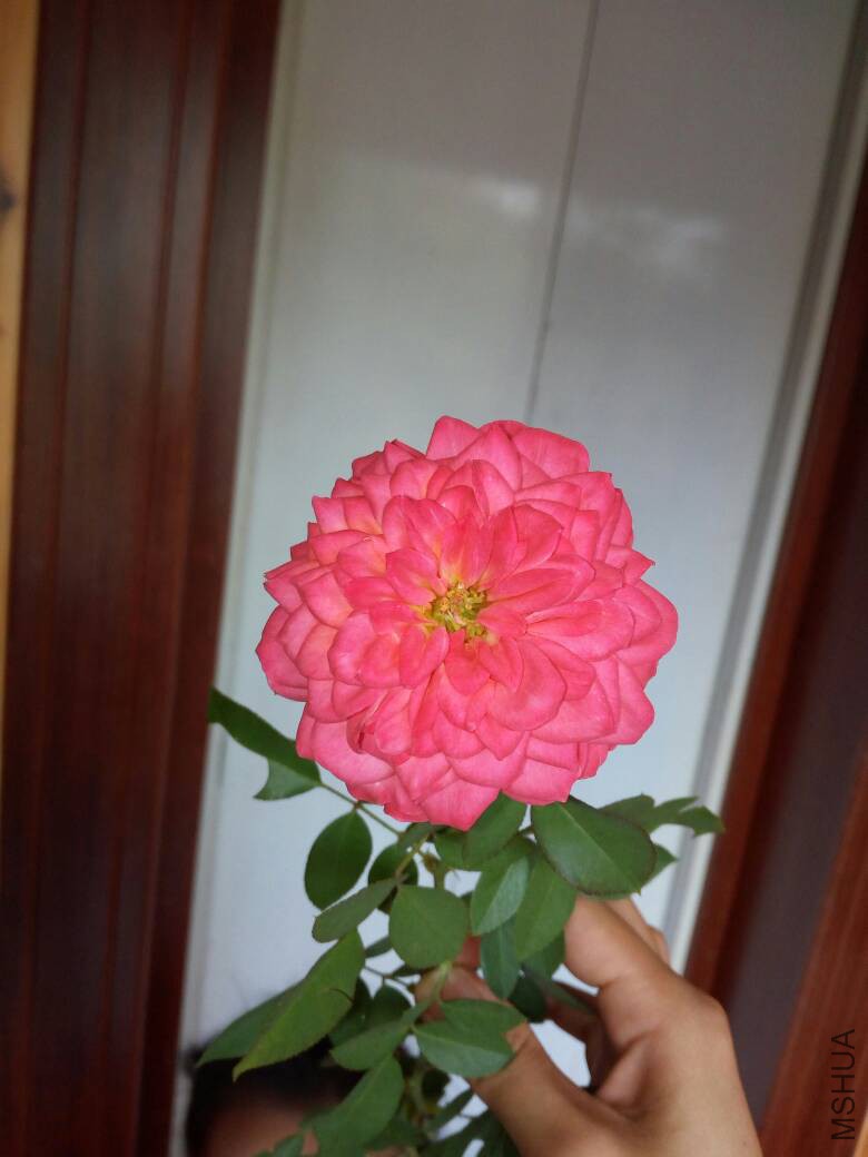133311alu6ypbb98nnnuvn.jpg