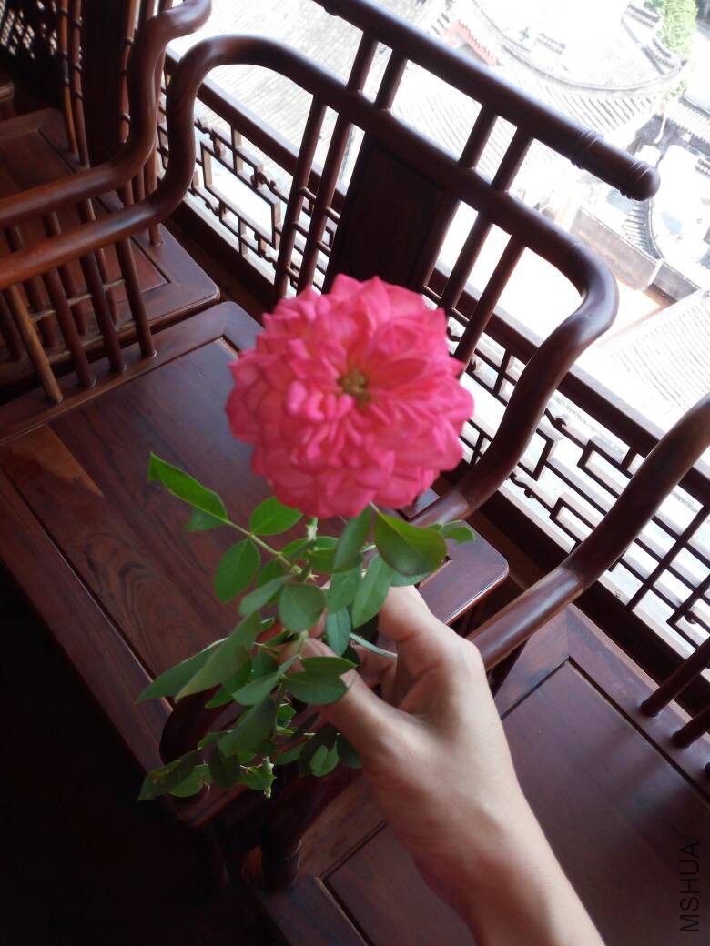 133312r55hxb6shawsl0za.jpg