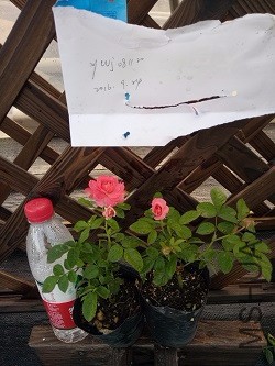 IMG20160924170849.jpg