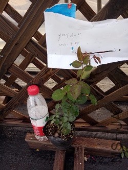 IMG20160924171316.jpg