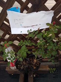 IMG20160924171158.jpg