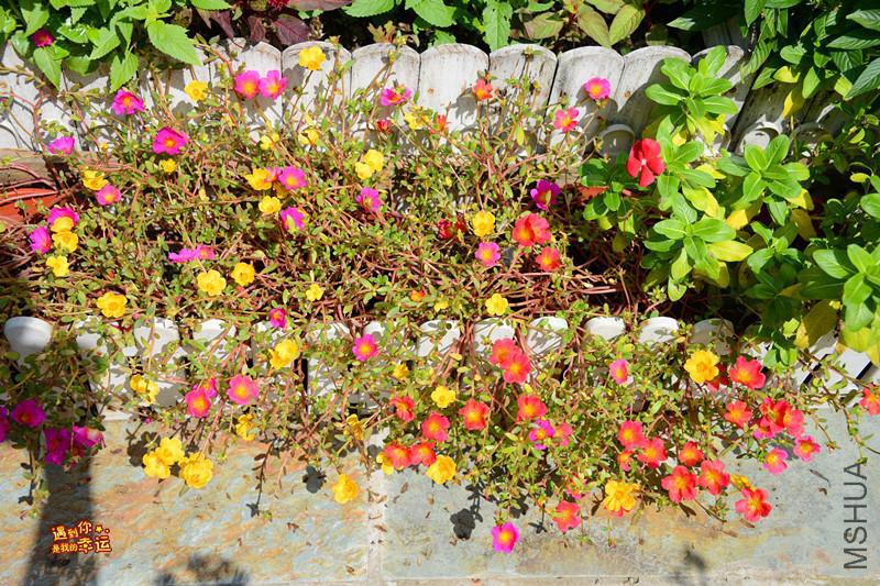 ��Ƭ 049_����.jpg