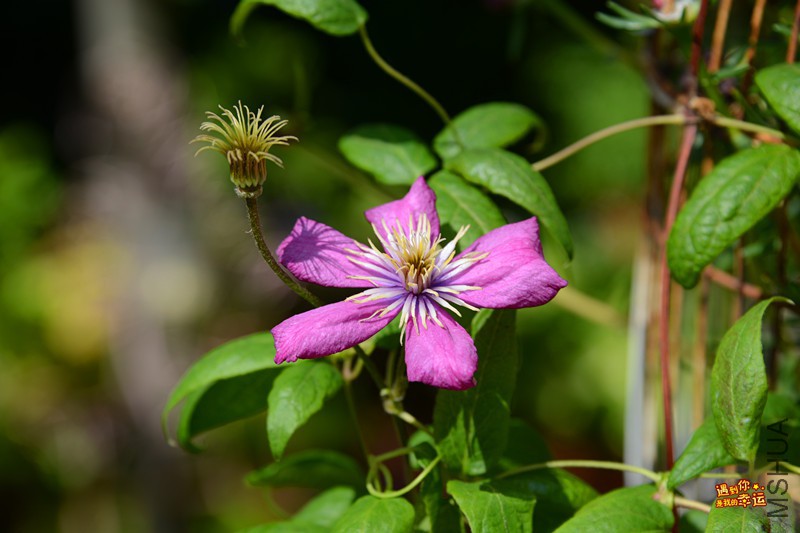 ��Ƭ 039_����.jpg