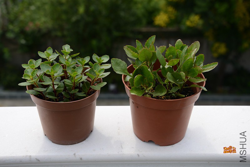 ��Ƭ 074_����.jpg