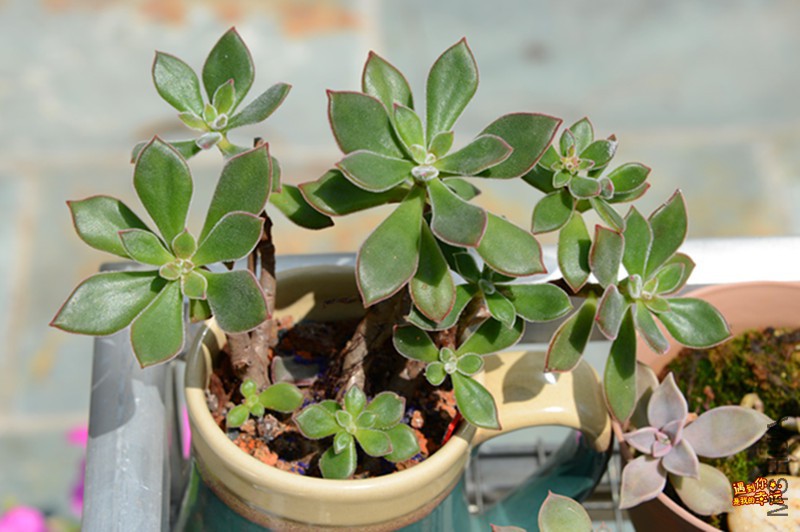 ��Ƭ 041_����.jpg