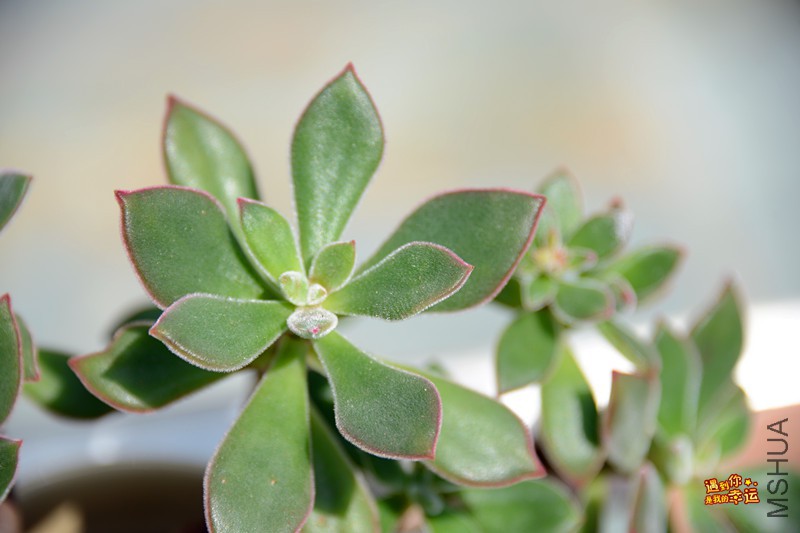 ��Ƭ 044_����.jpg