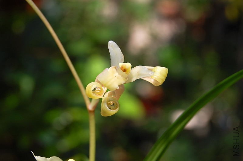 DSC_66120014.JPG