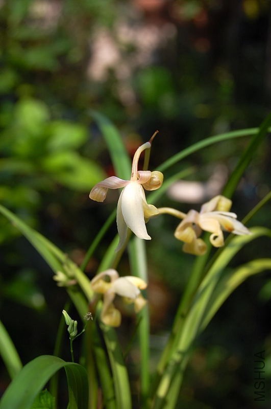 DSC_66180020.JPG