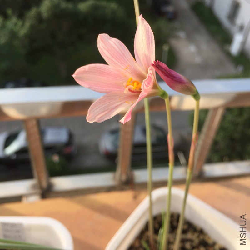 104136tywewprynpvkrn5t.jpg