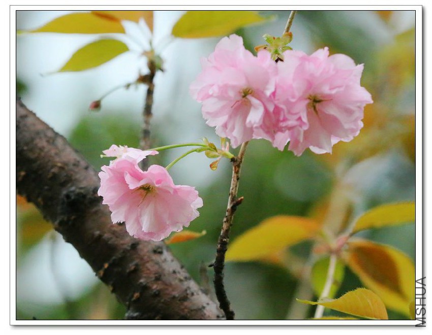 2013040502.jpg
