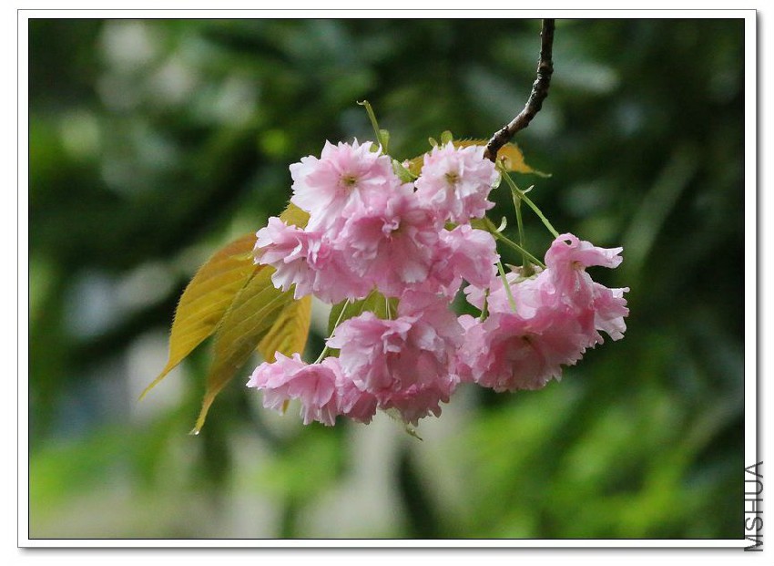 2013040501.jpg
