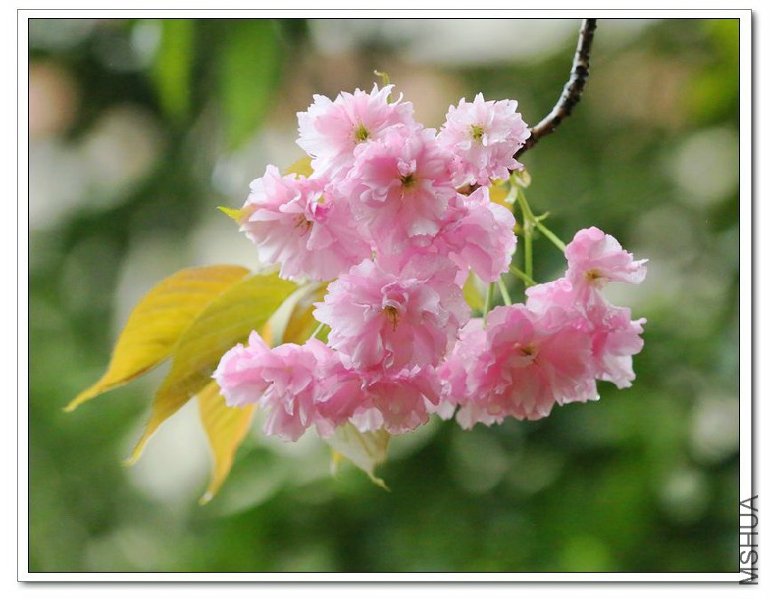 2013040505.jpg