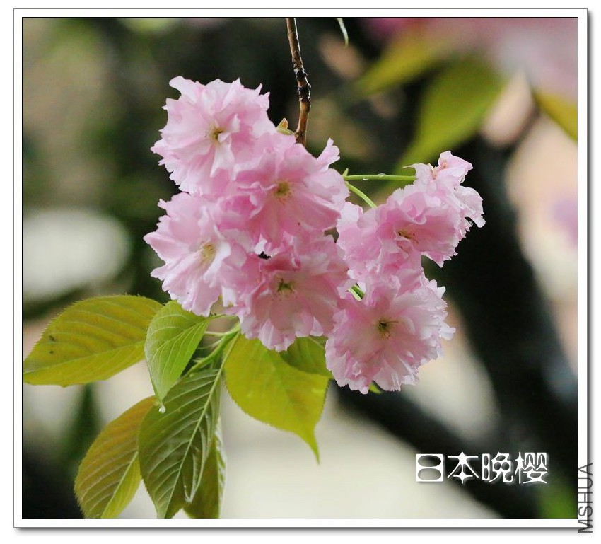 2013041415.jpg