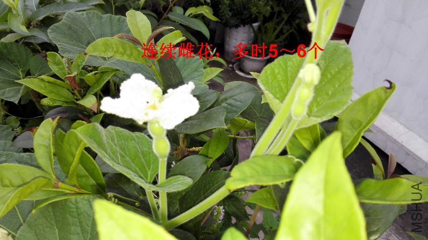 03-��«�ϴƻ�1.jpg