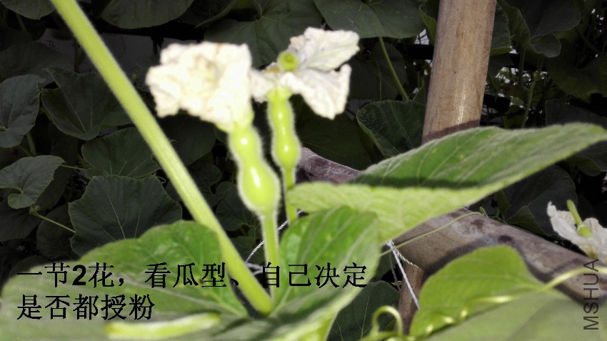 04-��«�ϴƻ�2.jpg
