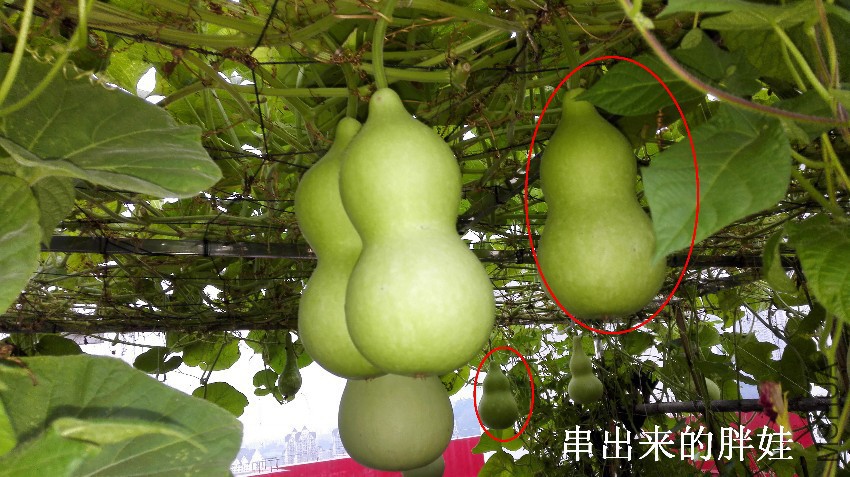 05-��«�ϴ���1.jpg