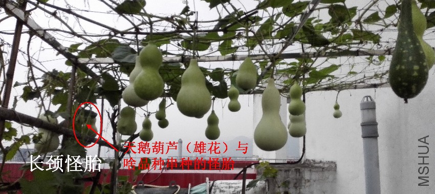 06-��«�ϴ���2.jpg