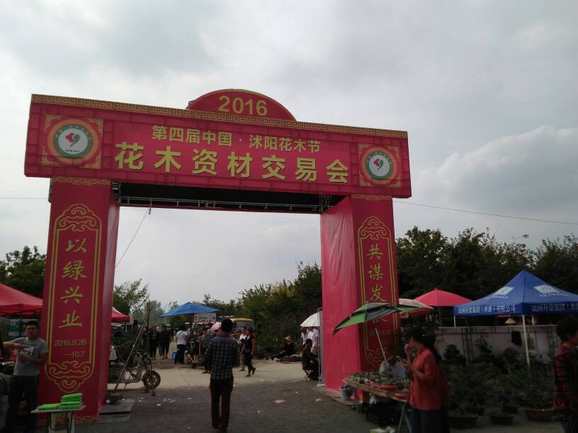 142208xfh3mmcrhchg453u.jpg