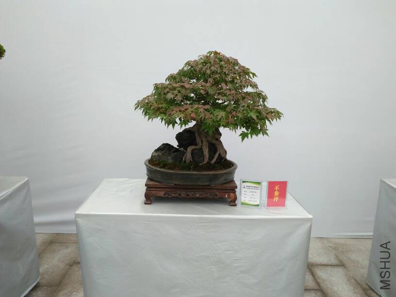 144349hsgbg75currz4chr.jpg