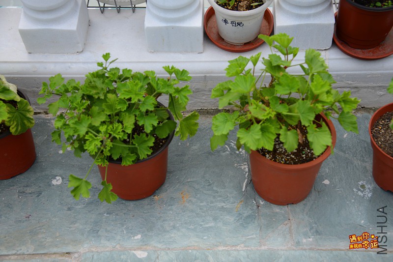 ��Ƭ 073_����.jpg