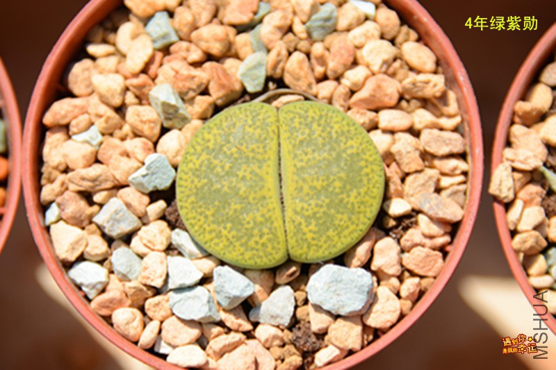 ��Ƭ 054_����.jpg