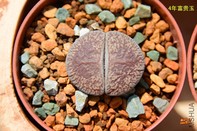 ��Ƭ 053_����.jpg