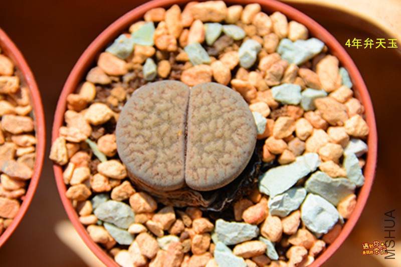 ��Ƭ 055_����.jpg