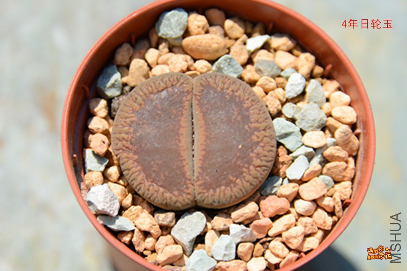 ��Ƭ 059_����.jpg