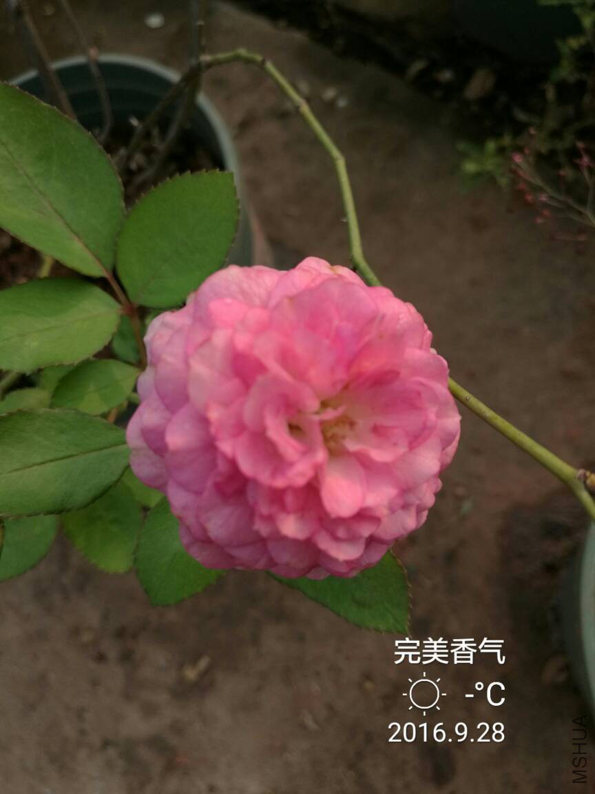 084548ijkqxeq191k1kjzx.jpg