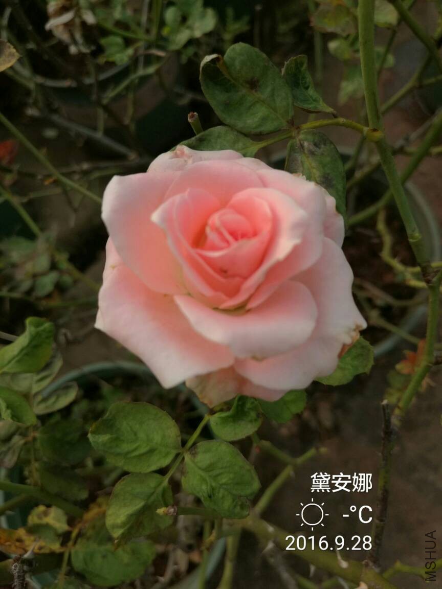 084548tqow1ibqi3zziqpi.jpg