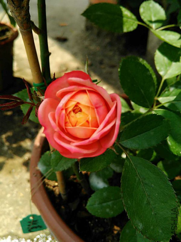 MTXX_20160504110745.jpg