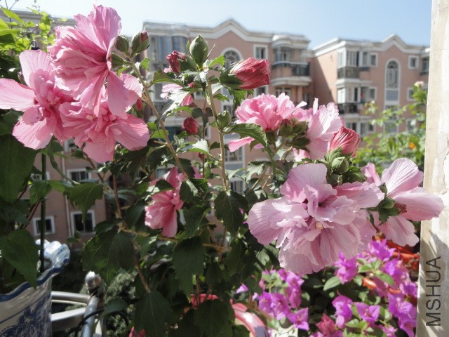 DSC01614.JPG