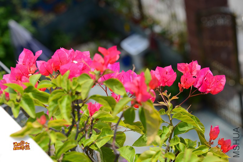 ��Ƭ 093_����.jpg