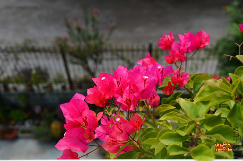 ��Ƭ 089_����.jpg