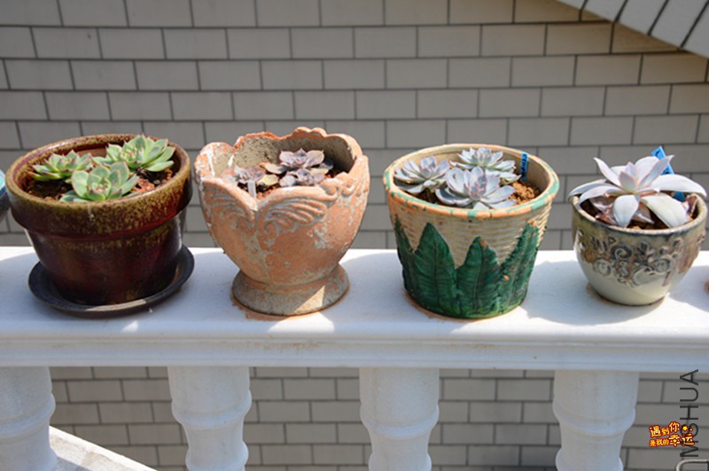 ��Ƭ 111_����.jpg